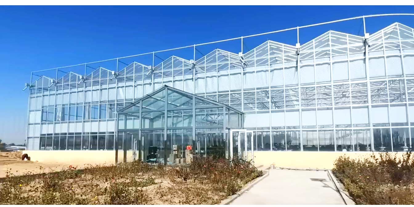 大路鎮苗家灘社區項目-智能溫室、日光溫室建設項目_13.jpg